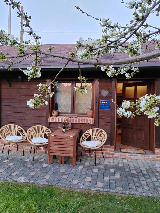 Apartman Buteo